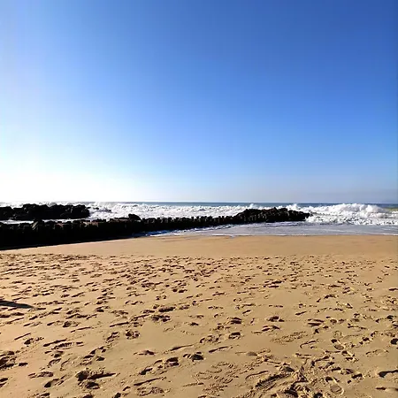 Appartement Face Au Et A Deux Pas De L'ocean